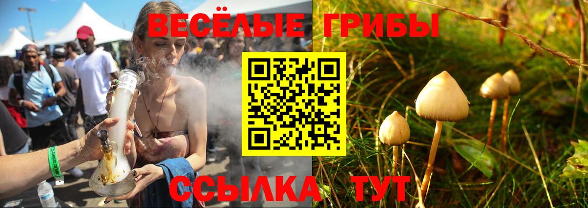 магазин продажи наркотиков  Галлюциногенные грибы Cubensis  Ногинск  Вход с VPN  Галлюциногенные грибы Magic Shrooms 